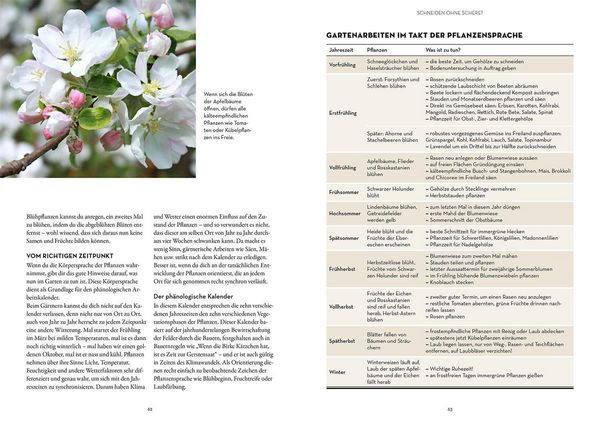 Produktbild: Sprachkurs gr&uuml;ner Daumen