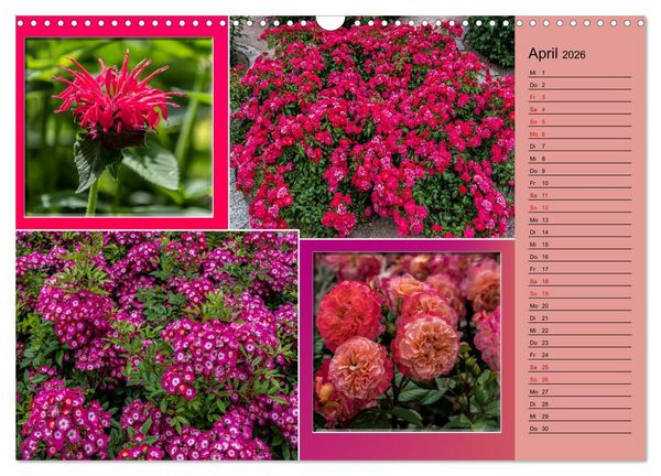 Produktbild: Gartenschau in Erfurt (Wandkalender 2026 DIN A3 quer), CALVENDO Monatskalender