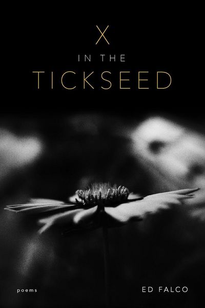 Produktbild: X in the Tickseed