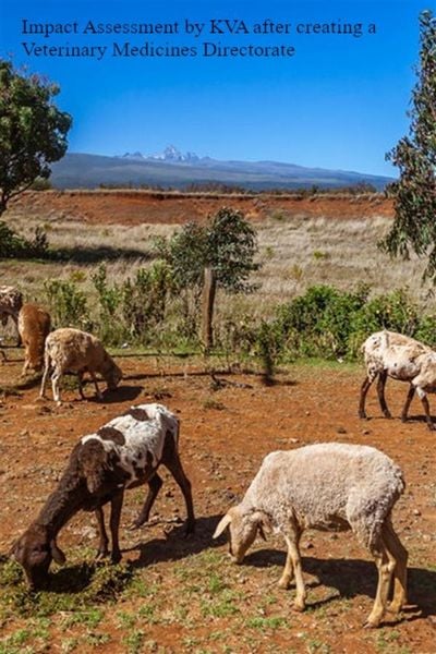 Produktbild: Impact assessment KVA: Creating the Veterinary Medicines Directorate