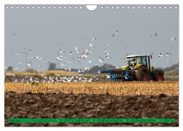 Produktbild: Landwirtschaft - Maschinen im Einsatz (Wandkalender 2026 DIN A4 quer), CALVENDO Monatskalender