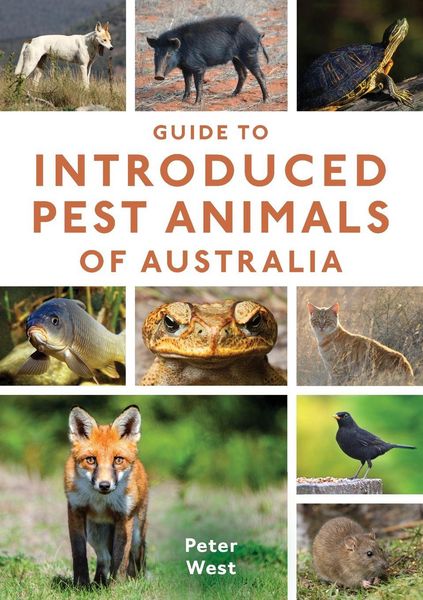 Produktbild: Guide to Introduced Pest Animals of Australia