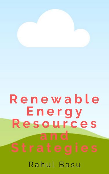 Produktbild: Renewable Energy and Sustainability Stategies