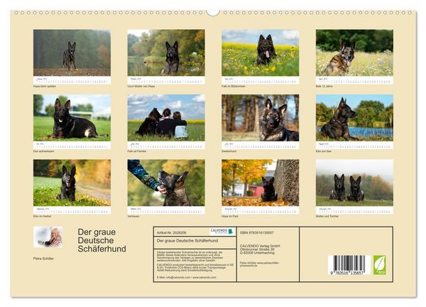Produktbild: Der graue Deutsche Sch&auml;ferhund (hochwertiger Premium Wandkalender 2026 DIN A2 quer), Kunstdruck in Hochglanz