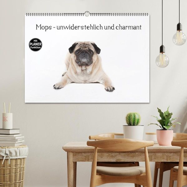 Produktbild: Mops - unwiderstehlich und charmant (Wandkalender 2026 DIN A2 quer), CALVENDO Monatskalender