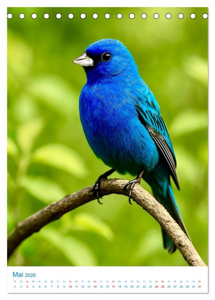 Produktbild: Blaue V&ouml;gel (Tischkalender 2026 DIN A5 hoch), CALVENDO Monatskalender