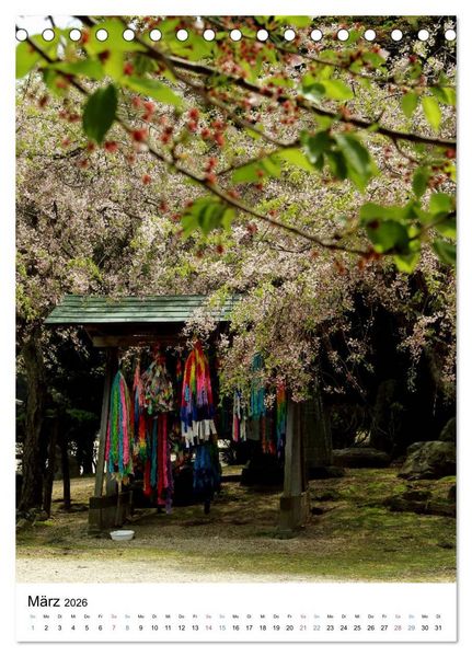 Produktbild: Japan - Kirschbl&uuml;ten (Tischkalender 2026 DIN A5 hoch), CALVENDO Monatskalender