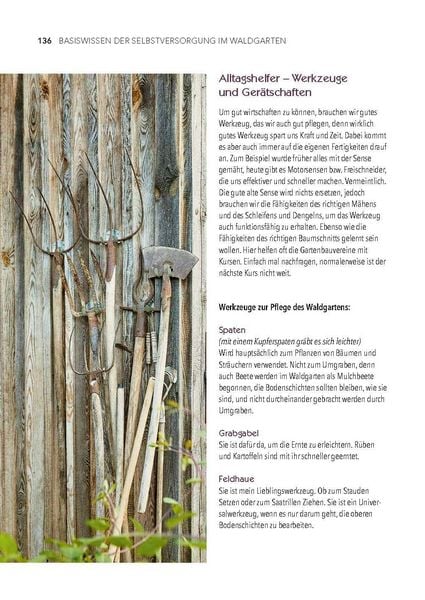 Produktbild: Dein Weg zum essbaren Waldgarten