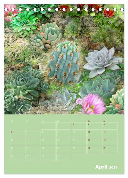 Produktbild: Kunterbunt gemischt - Kunterbunt gemischt - Farbenfroher Jahresplaner mit aufw&auml;ndigen Pflanzencollagen (Tischkalender 2026 DIN A5 hoch), CALVENDO Monatskalender