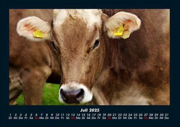 Produktbild: Tiere auf dem Bauernhof 2025 Fotokalender DIN A4