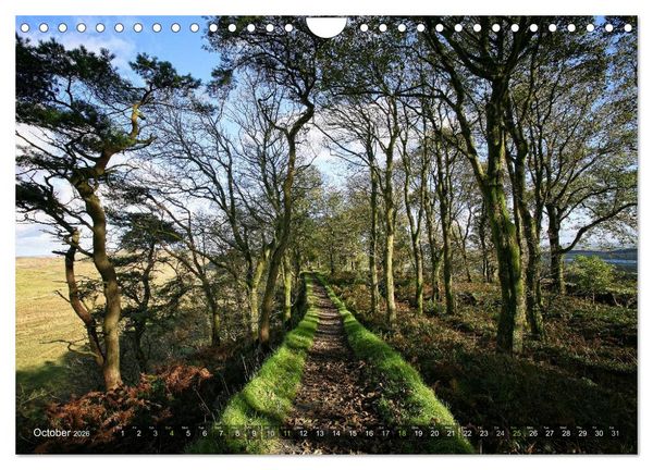 Produktbild: Wild Beauty of Cumbria (Wall Calendar 2026 DIN A4 landscape), CALVENDO 12 Month Wall Calendar