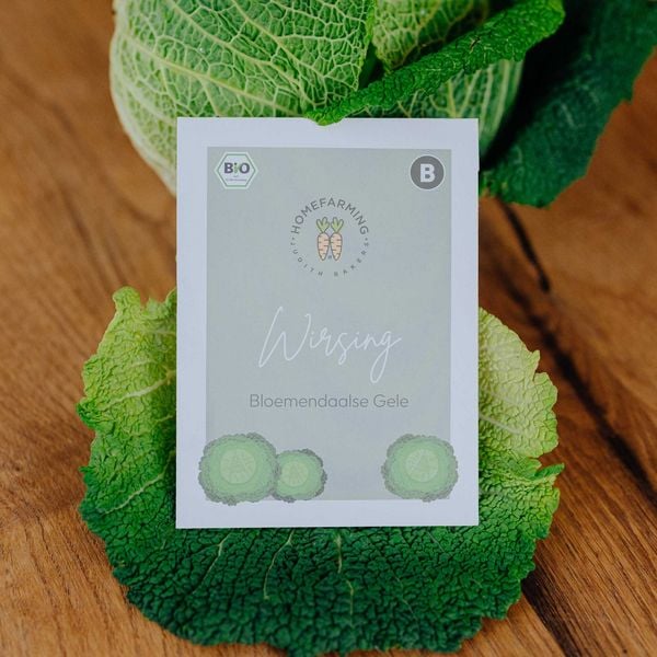 Produktbild: Saatgut Bio-Saatgutbox Wintergem&uuml;se in Wei&szlig;blechdose, mit 6 Sorten
