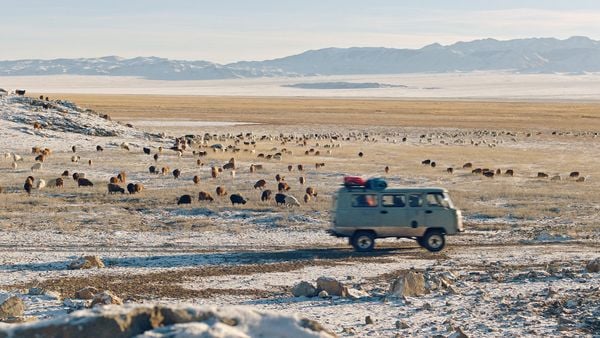 Produktbild: Checker Tobi und die Reise zu den fliegenden Fl&uuml;ssen