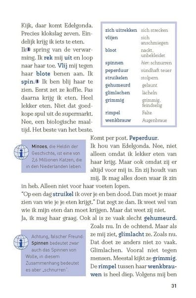 Produktbild: Een zomer in Amsterdam