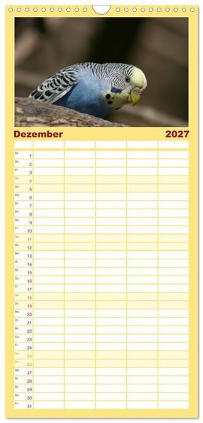 Produktbild: Familienplaner 2027 - Wellensittiche - Gefiederte Freunde mit 5 Spalten (Wandkalender, 21 x 45 cm) CALVENDO