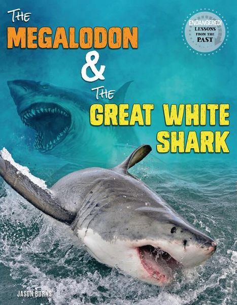 Produktbild: The Megalodon and the Great White Shark
