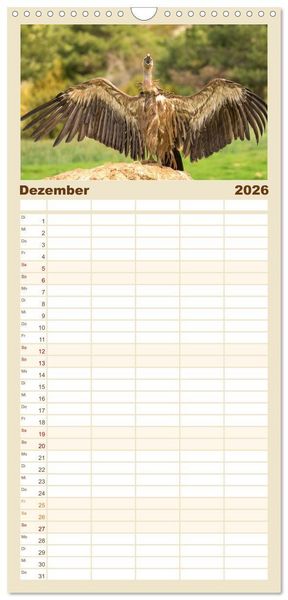 Produktbild: Familienplaner 2026 - Die Geier sind los mit 5 Spalten (Wandkalender, 21 x 45 cm) CALVENDO