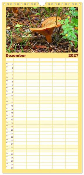 Produktbild: Familienplaner 2027 - Heimische Pilze mit 5 Spalten (Wandkalender, 21 x 45 cm) CALVENDO