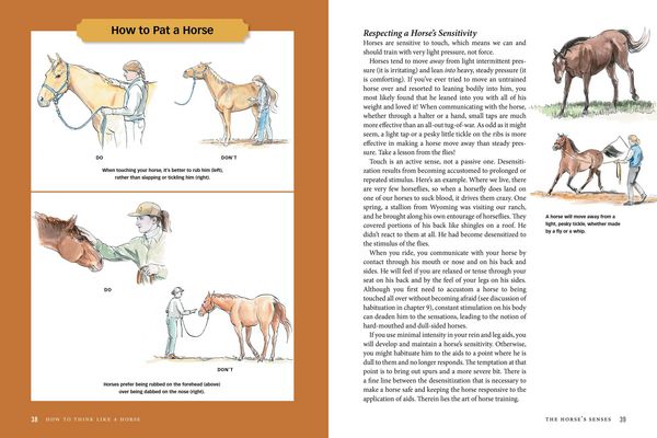 Produktbild: How to Think Like a Horse