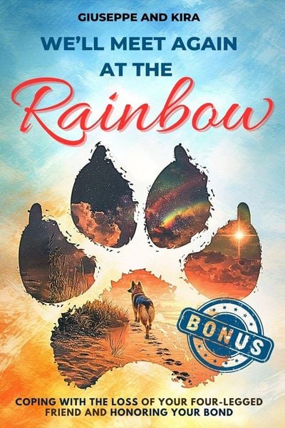 Produktbild: We'll meet again at the rainbow