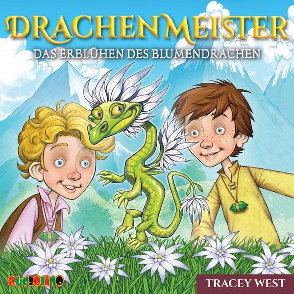 Produktbild: Drachenmeister (21)