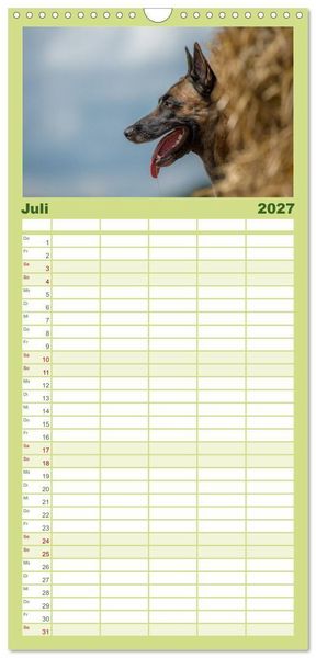 Produktbild: Familienplaner 2027 - Belgischer Sch&auml;ferhund - Der Malinois in Action mit 5 Spalten (Wandkalender, 21 x 45 cm) CALVENDO