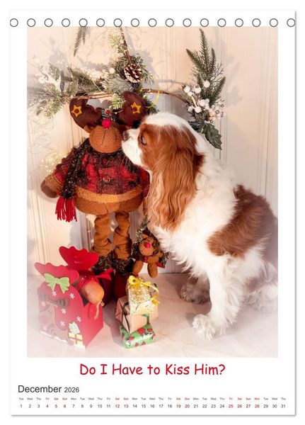 Produktbild: The Adventurous Life of two Daring Cavaliers (Desk Calendar 2026 DIN A5 portrait), CALVENDO 12 Month DeskCalendar
