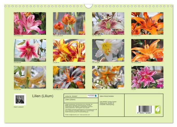 Produktbild: Lilien (Lilium) (Wandkalender 2026 DIN A3 quer), CALVENDO Monatskalender