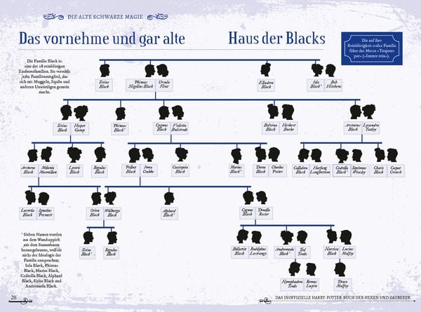 Produktbild: Das inoffizielle Harry-Potter-Buch der Hexen und Zauberer