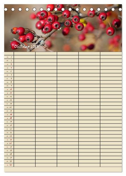 Produktbild: Kleine Natursch&ouml;nheiten (Tischkalender 2026 DIN A5 hoch), CALVENDO Monatskalender