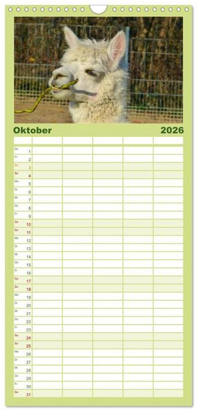 Produktbild: Familienplaner 2026 - Alpakas und Lamas mit 5 Spalten (Wandkalender, 21 x 45 cm) CALVENDO