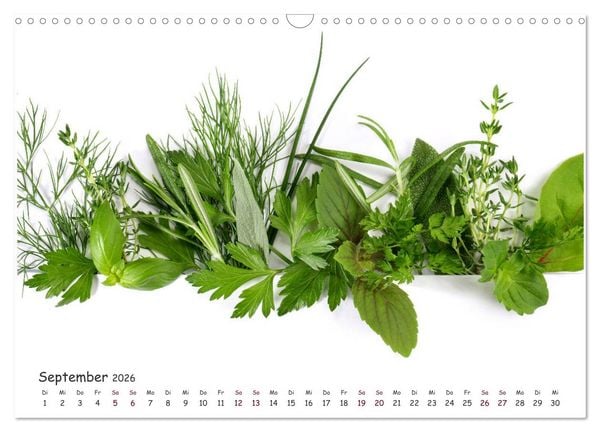 Produktbild: Food Panorama - K&uuml;chenkalender 2026 (Wandkalender 2026 DIN A3 quer), CALVENDO Monatskalender