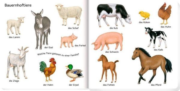 Produktbild: 100 erste Tiere