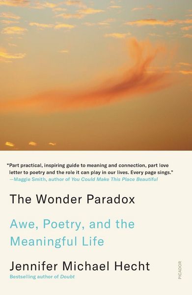 Produktbild: The Wonder Paradox