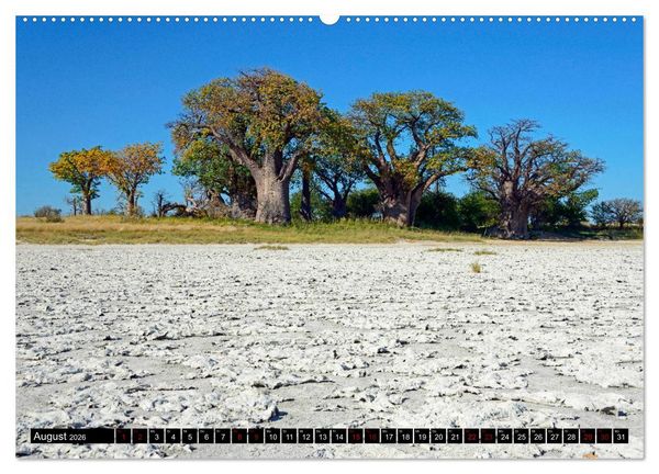 Produktbild: Faszination Botswana (Wandkalender 2026 DIN A2 quer), CALVENDO Monatskalender
