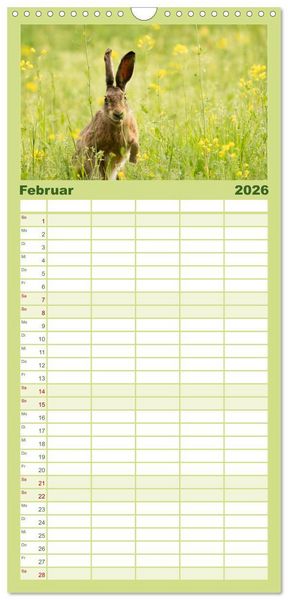 Produktbild: Familienplaner 2026 - Feldhasen unterwegs in Wald und Flur mit 5 Spalten (Wandkalender, 21 x 45 cm) CALVENDO