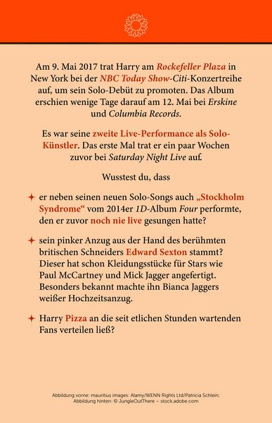 Produktbild: Fan-Box Harry Styles