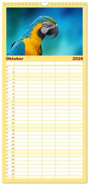 Produktbild: Familienplaner 2026 - Die bunte Welt der V&ouml;gel mit 5 Spalten (Wandkalender, 21 x 45 cm) CALVENDO
