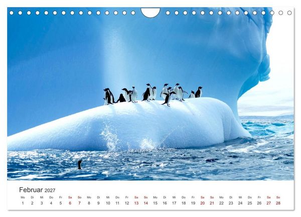 Produktbild: Kreuzfahrtpiraten (Wandkalender 2027 DIN A4 quer), CALVENDO Monatskalender