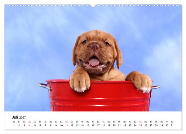 Produktbild: lach mit...just smile (hochwertiger Premium Wandkalender 2027 DIN A2 quer), Kunstdruck in Hochglanz
