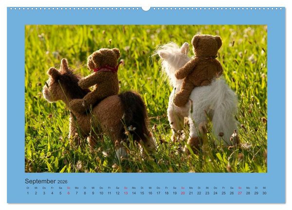 Produktbild: Teddys Meine Freunde (Wandkalender 2026 DIN A2 quer), CALVENDO Monatskalender
