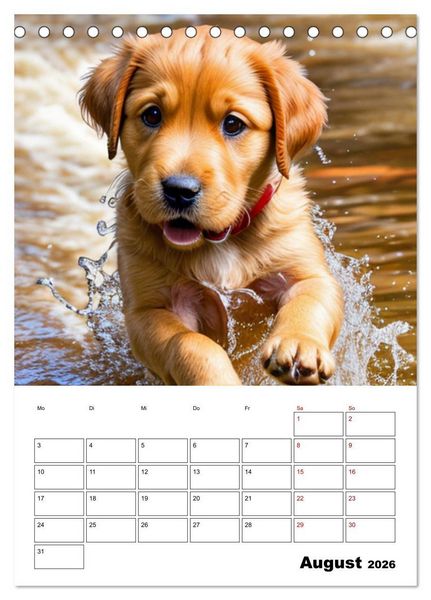 Produktbild: Mit Tieren hinein in das neue Jahr (Tischkalender 2026 DIN A5 hoch), CALVENDO Monatskalender
