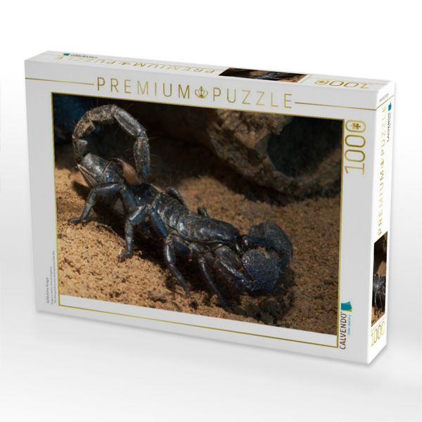 Produktbild: CALVENDO Puzzle Gef&auml;hrlicher Krieger | 1000 Teile Lege-Gr&ouml;&szlig;e 64x48cm Foto-Puzzle f&uuml;r gl&uuml;ckliche Stunden