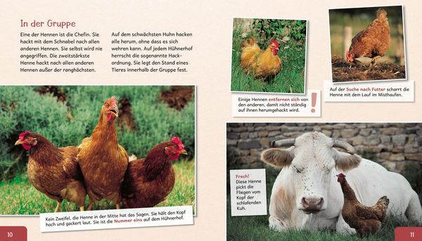 Produktbild: Meine gro&szlig;e Tierbibliothek: Das Huhn