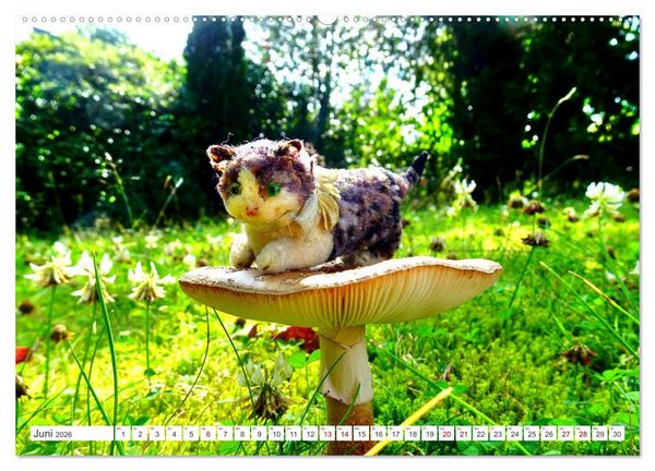 Produktbild: Pilz-Tiere (Wandkalender 2026 DIN A2 quer), CALVENDO Monatskalender