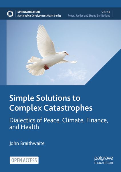 Produktbild: Simple Solutions to Complex Catastrophes