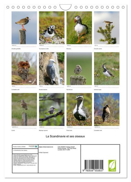 Produktbild: La Scandinavie et ses oiseaux (Calendrier mural 2026 DIN A4 horizontal), CALVENDO calendrier mensuel