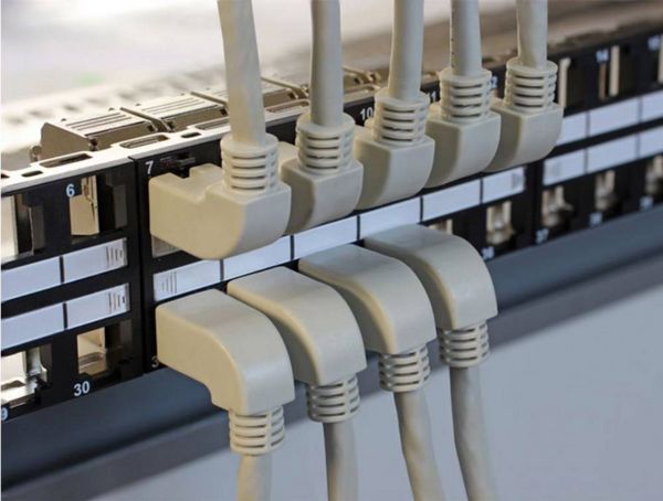 Produktbild: Delock 83510 RJ45 Patchkabel CAT 5e S/FTP 0.50 m Grau 1 St.