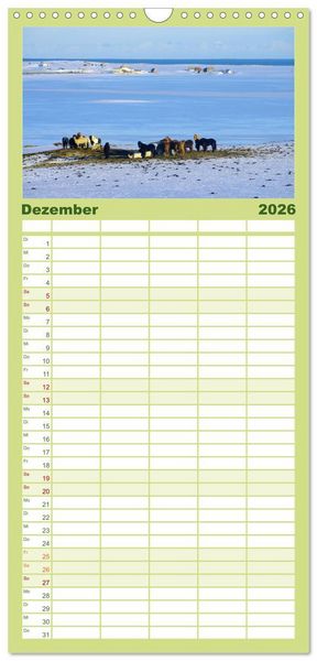 Produktbild: Familienplaner 2026 - Die Pferde Islands mit 5 Spalten (Wandkalender, 21 x 45 cm) CALVENDO