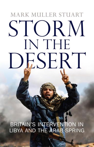 Produktbild: Storm in the Desert